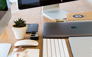 博鱼：在水的节律中遇见更好的自己